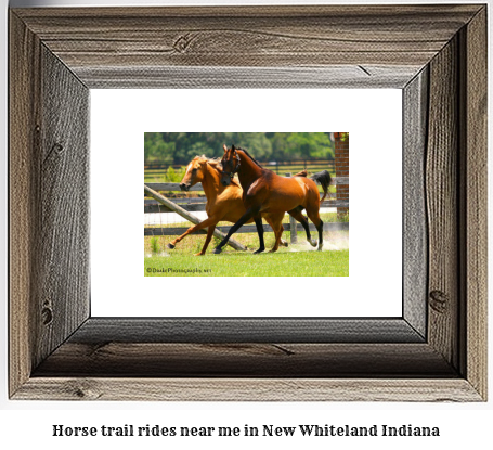 horse trail rides near me in New Whiteland, Indiana